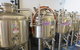 Noosa Brewery Experience Inc. Lunch - Sunshine Coast (Min 6 Adults) - thumb 6