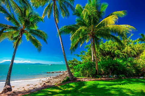 SHUTTLE - Port Douglas And Craiglie Return Transfer - Holiday Sunshine Coast 2