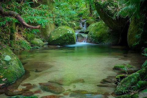 SHUTTLE - Mossman Gorge & Cooya Beach From Port Douglas (Return Transfer) - Holiday Sunshine Coast 2