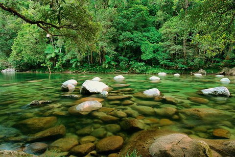 SHUTTLE - Mossman Gorge & Cooya Beach From Port Douglas (Return Transfer) - Holiday Sunshine Coast 3