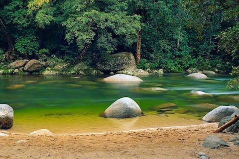 SHUTTLE - Mossman Gorge & Cooya Beach From Port Douglas (Return Transfer) - Holiday Sunshine Coast 1