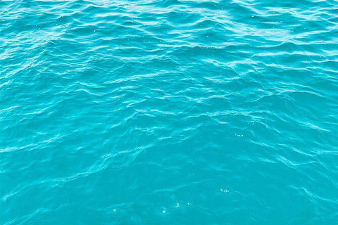 5 Night Bareboat Onboard Cattitude - Sunshine Coast Tourism 2