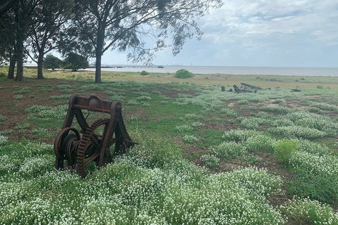 Half Day St. Helena Island Tour - Sunshine Coast Tourism 1