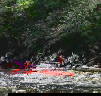 Mossman Gorge Adventure Day - Sunshine Coast Tourism