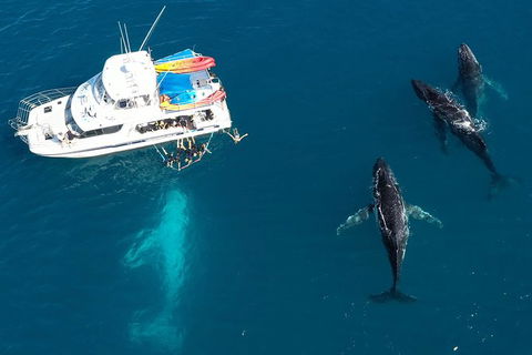 Remote Fraser Island & Whale Experience - Sunshine Coast Tourism 3