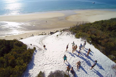 Remote Fraser Island & Whale Experience - Sunshine Coast Tourism 2