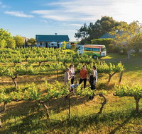 Barossa Valley Highlights from Barossa Valley Including Wine and Cheese Tasting - Sunshine Coast Tourism