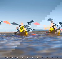 Kangaroo Island Self-Guided Kayaking on the Harriet River - Sunshine Coast Tourism