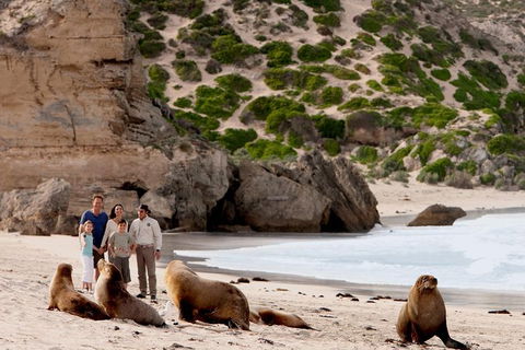 Kangaroo Island Scenic Trail Tour - Sunshine Coast Tourism 1
