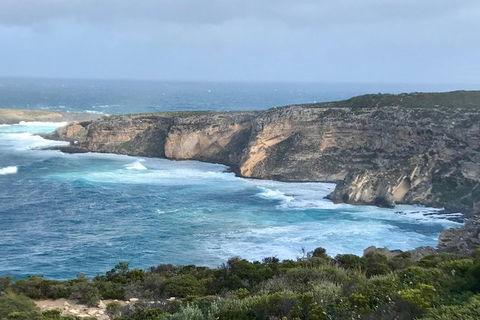 Kangaroo Island Scenic Trail Tour - Sunshine Coast Tourism 4