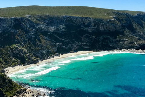 Kangaroo Island Scenic Trail Tour - Sunshine Coast Tourism 3