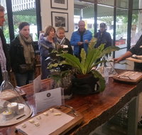 Half-Day Tour with a unique Barossan experience - Sunshine Coast Tourism