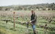 Armagh Vineyard Exclusive Wine Experience And Lunch - thumb 0