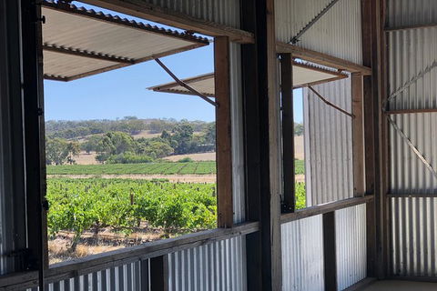 Armagh Vineyard Exclusive Wine Experience And Lunch - Sunshine Coast Tourism 5