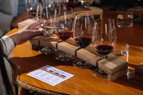 Yalumba Unlocked - Holiday Sunshine Coast 6