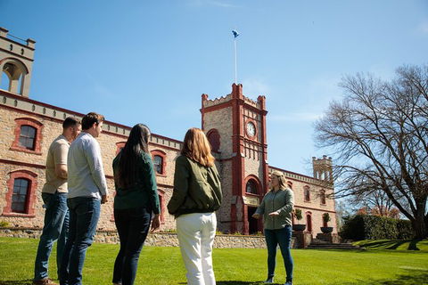 Yalumba Unlocked - Holiday Sunshine Coast 1