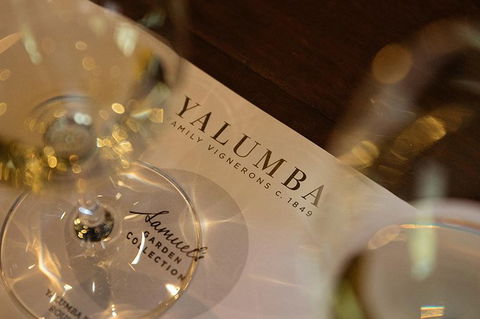 Yalumba Unlocked - Holiday Sunshine Coast 3