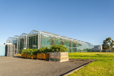 Yalumba Nursery & Grenache Discovery Tour + Platter Lunch - Holiday Sunshine Coast 5