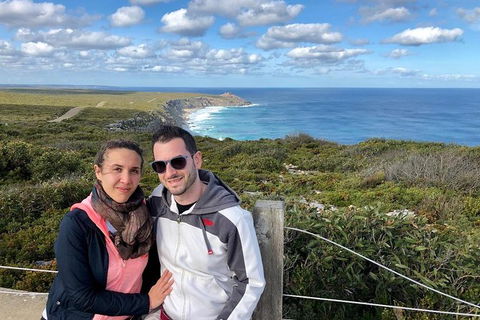 NEW TOUR - Flinders Chase Tour (Recovering From Fires) - Sunshine Coast Tourism 3