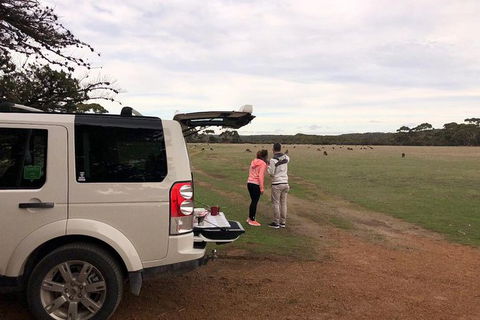 NEW TOUR - Flinders Chase Tour (Recovering From Fires) - Sunshine Coast Tourism 6