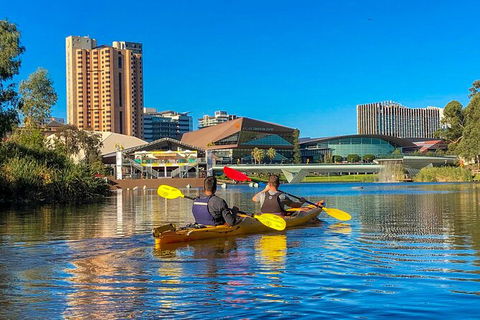 Adelaide City Kayak Tour - Sunshine Coast Tourism 3