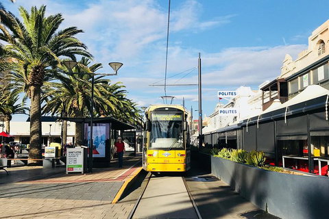 Adelaide Driving Tour - Sunshine Coast Tourism 2