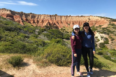 Adelaide Driving Tour - Sunshine Coast Tourism 5