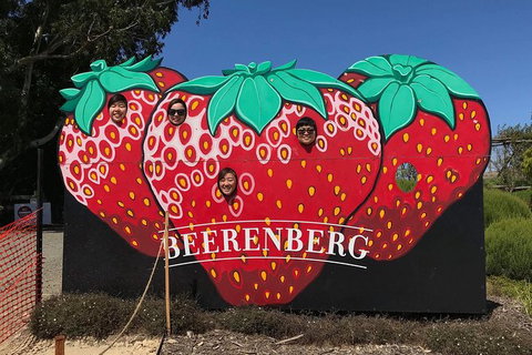 Adelaide Driving Tour - Sunshine Coast Tourism 1