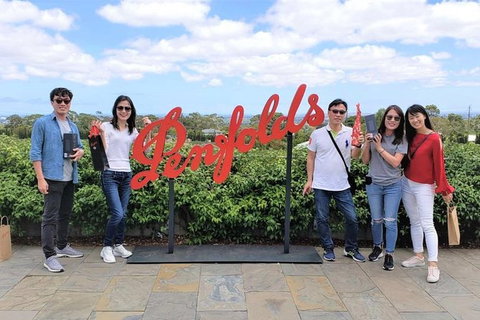 Adelaide Driving Tour - Sunshine Coast Tourism 6