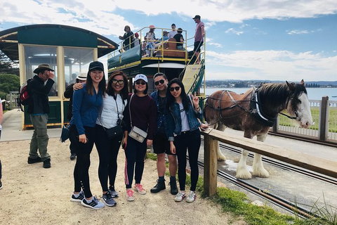 Adelaide Driving Tour - Sunshine Coast Tourism 3