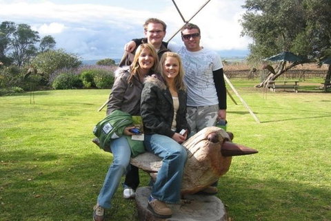 From Adelaide: McLaren Vale Intimate Winery 8 Hours Tour With Luxury Vehicle - Holiday Sunshine Coast 1