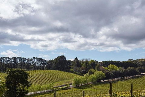 Adelaide Hills Full Day Winery Tour With Tastings - Sunshine Coast Tourism 4