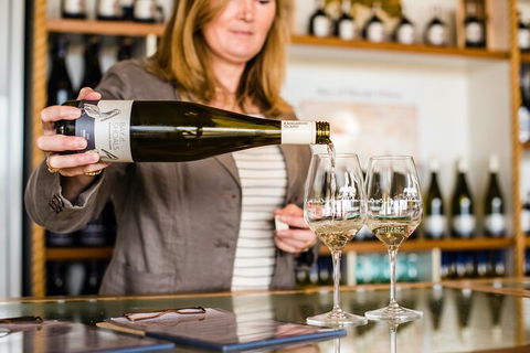 Heritage, Wine & Gin Tours - Sunshine Coast Tourism 5