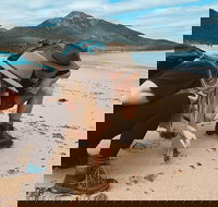 Freycinet Walking Tour - Sunshine Coast Tourism