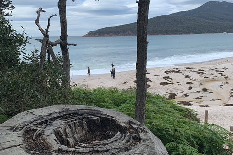 Wineglass Bay Beach Hike - Holiday Sunshine Coast 15