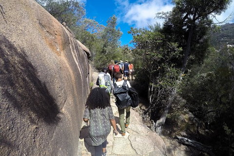 Wineglass Bay Beach Hike - Holiday Sunshine Coast 12
