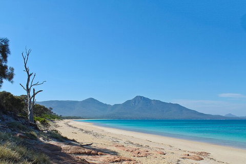 Wineglass Bay Beach Hike - Holiday Sunshine Coast 1