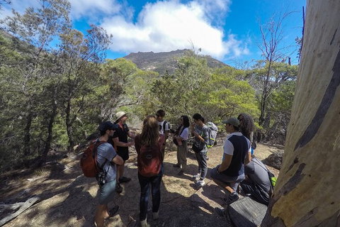 Wineglass Bay Beach Hike - Holiday Sunshine Coast 3
