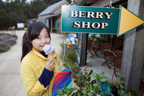 Wineglass Bay Beach Hike - Holiday Sunshine Coast 27
