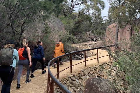 Wineglass Bay Beach Hike - Holiday Sunshine Coast 13