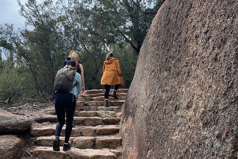 Wineglass Bay Beach Hike - Holiday Sunshine Coast 21