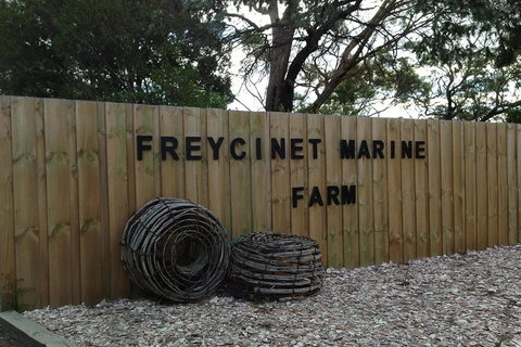 Wineglass Bay Beach Hike - Holiday Sunshine Coast 6