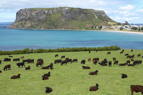 Cruise Ship Excursion: Stanley - Sunshine Coast Tourism 0