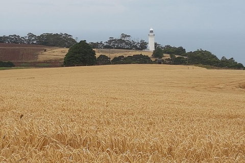 Cruise Ship Excursion: Stanley - Sunshine Coast Tourism 16