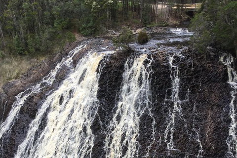 Cruise Ship Excursion: Stanley - Sunshine Coast Tourism 15