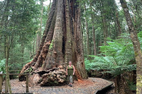 Cruise Ship Excursion: Stanley - Sunshine Coast Tourism 20