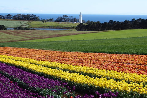 Cruise Ship Excursion: Stanley - Sunshine Coast Tourism 18