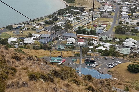 Cruise Ship Excursion: Stanley - Sunshine Coast Tourism 14