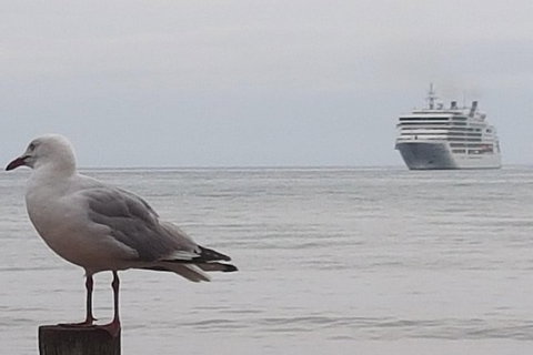 Cruise Ship Excursion: Stanley - Sunshine Coast Tourism 9