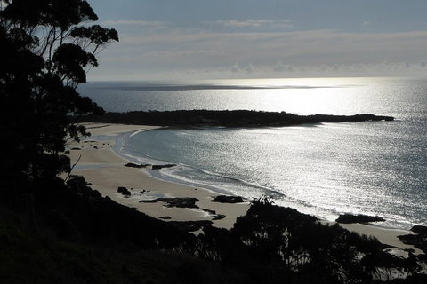 Cruise Ship Excursion: Stanley - Sunshine Coast Tourism 24